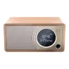 Sharp Radio DAB+ BT DR-450(BR)