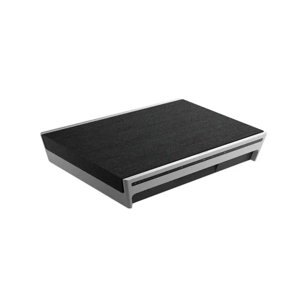 Bang & Olufsen Beosound Level Speaker Natural Alu (Cover Dark Grey)