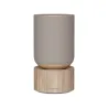Bang & Olufsen Beosound Balance Natural Oak