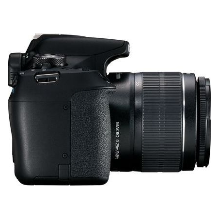 Canon | EOS | 2000D 18-55 IS II EU26 | SLR Camera Kit | Megapixel 24.1 MP | Image stabilizer | ISO sensitivity (max) 12800 | Dis