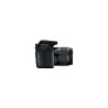 Canon | EOS | 2000D 18-55 IS II EU26 | SLR Camera Kit | Megapixel 24.1 MP | Image stabilizer | ISO sensitivity (max) 12800 | Dis