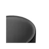 Bang & Olufsen Beosound Balance Black Oak