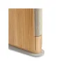 Bang & Olufsen Beosound Emerge Gold Tone Alu/Light Oak