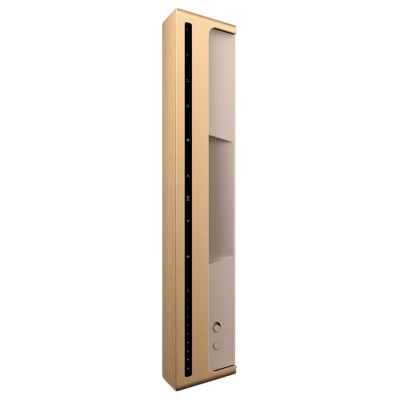 Bang & Olufsen Beosound Level Speaker Gold Tone Alu (Cover Light Oak)