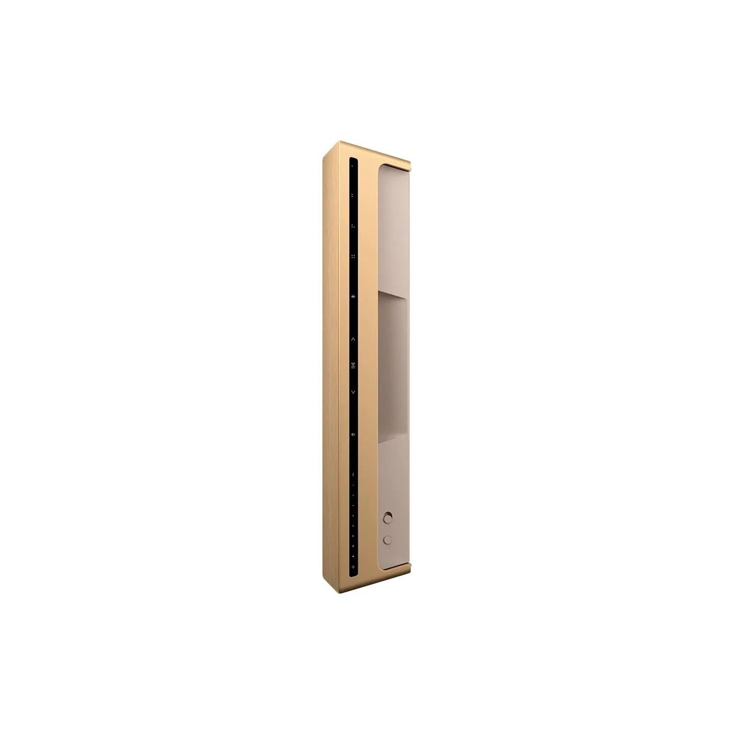 Bang & Olufsen Beosound Level Speaker Gold Tone Alu (Cover Light Oak)