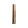 Bang & Olufsen Beosound Level Speaker Gold Tone Alu (Cover Light Oak)