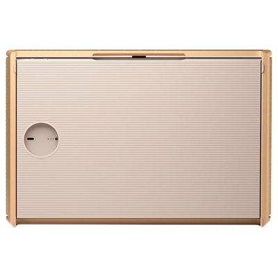 Bang & Olufsen Beosound Level Speaker Gold Tone Alu (Cover Light Oak)