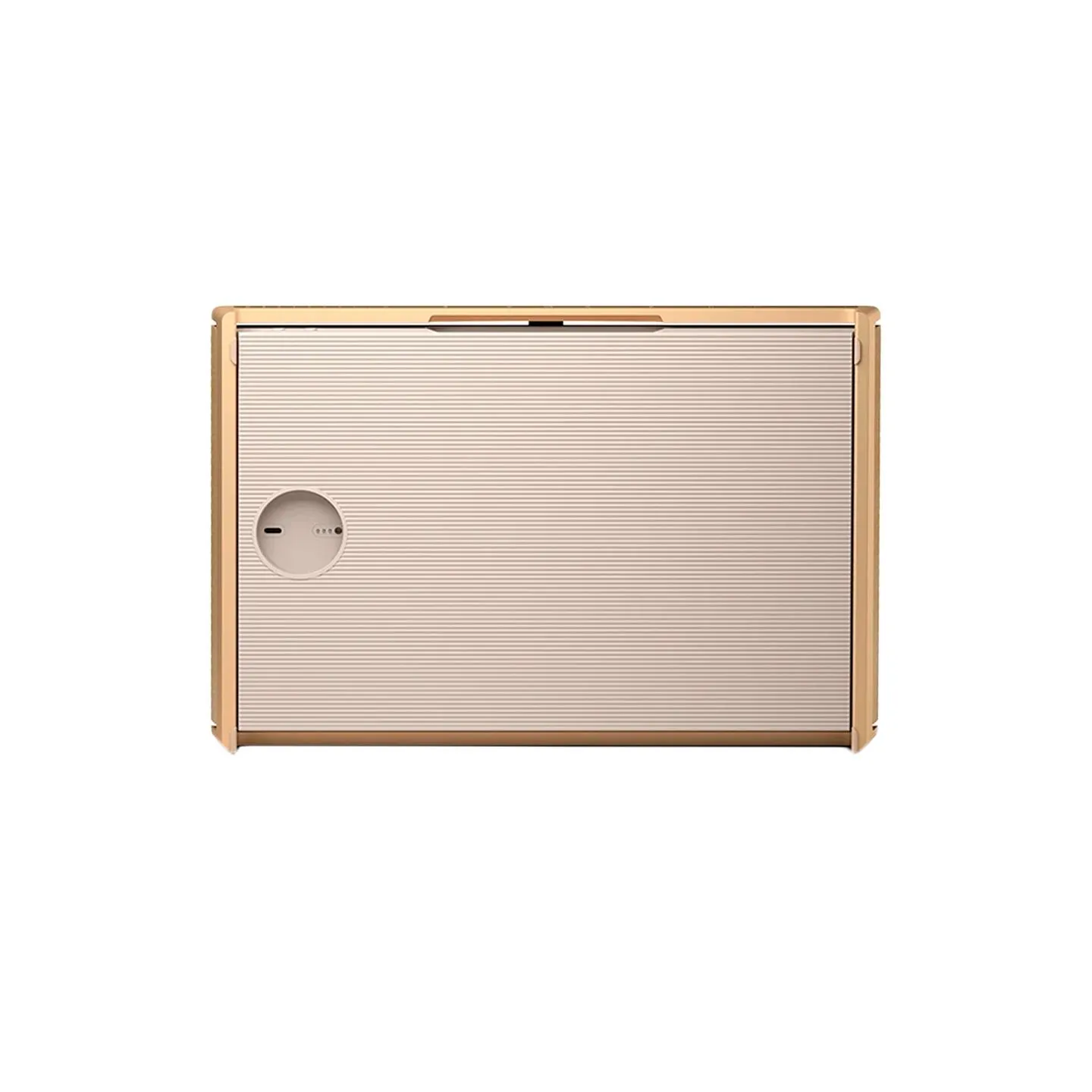 Bang & Olufsen Beosound Level Speaker Gold Tone Alu (Cover Light Oak)