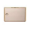 Bang & Olufsen Beosound Level Speaker Gold Tone Alu (Cover Light Oak)