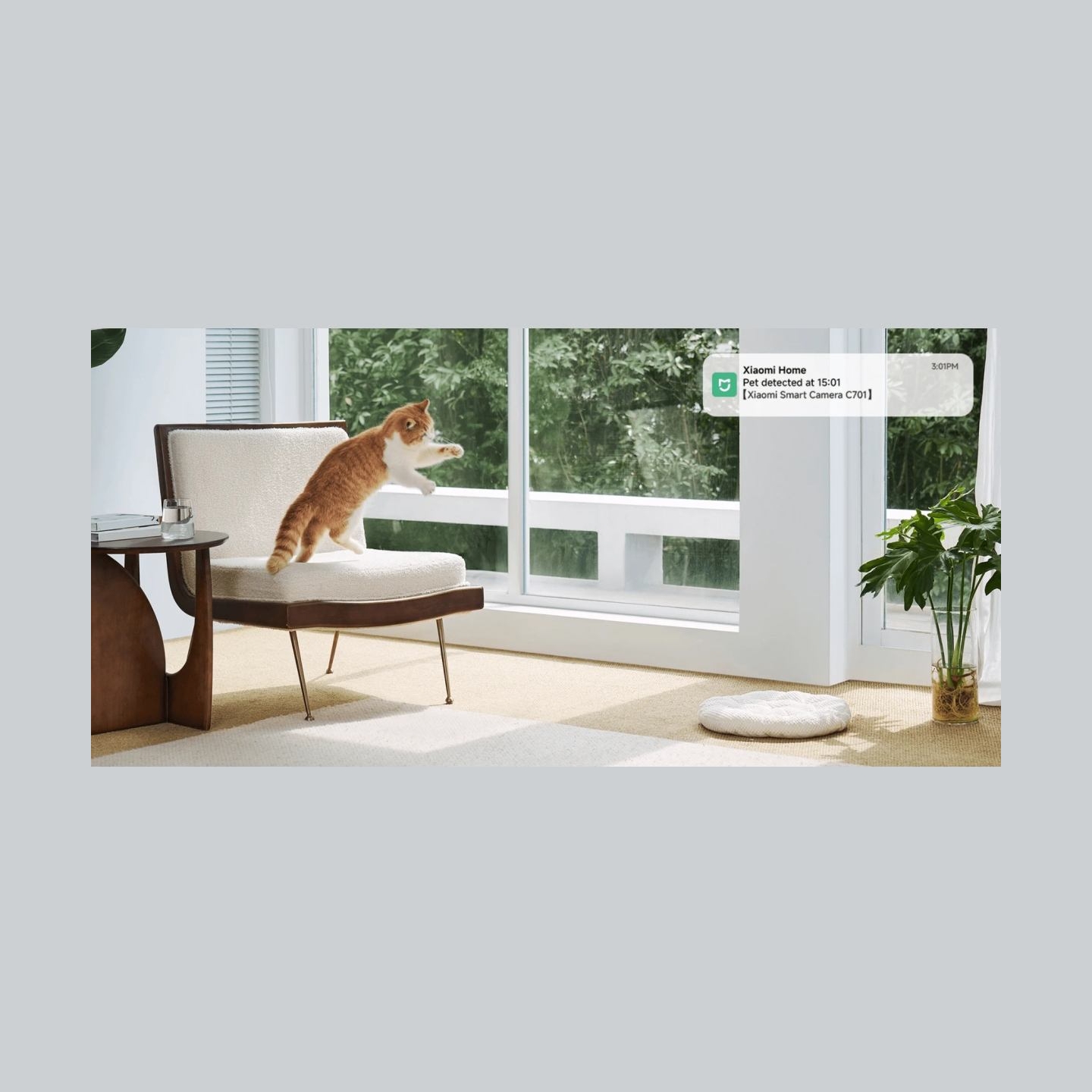 Xiaomi Smart Camera C701 EU | Dome | 8 MP | F/1.6 | H.265 | microSD card (8 GB to 256 GB)