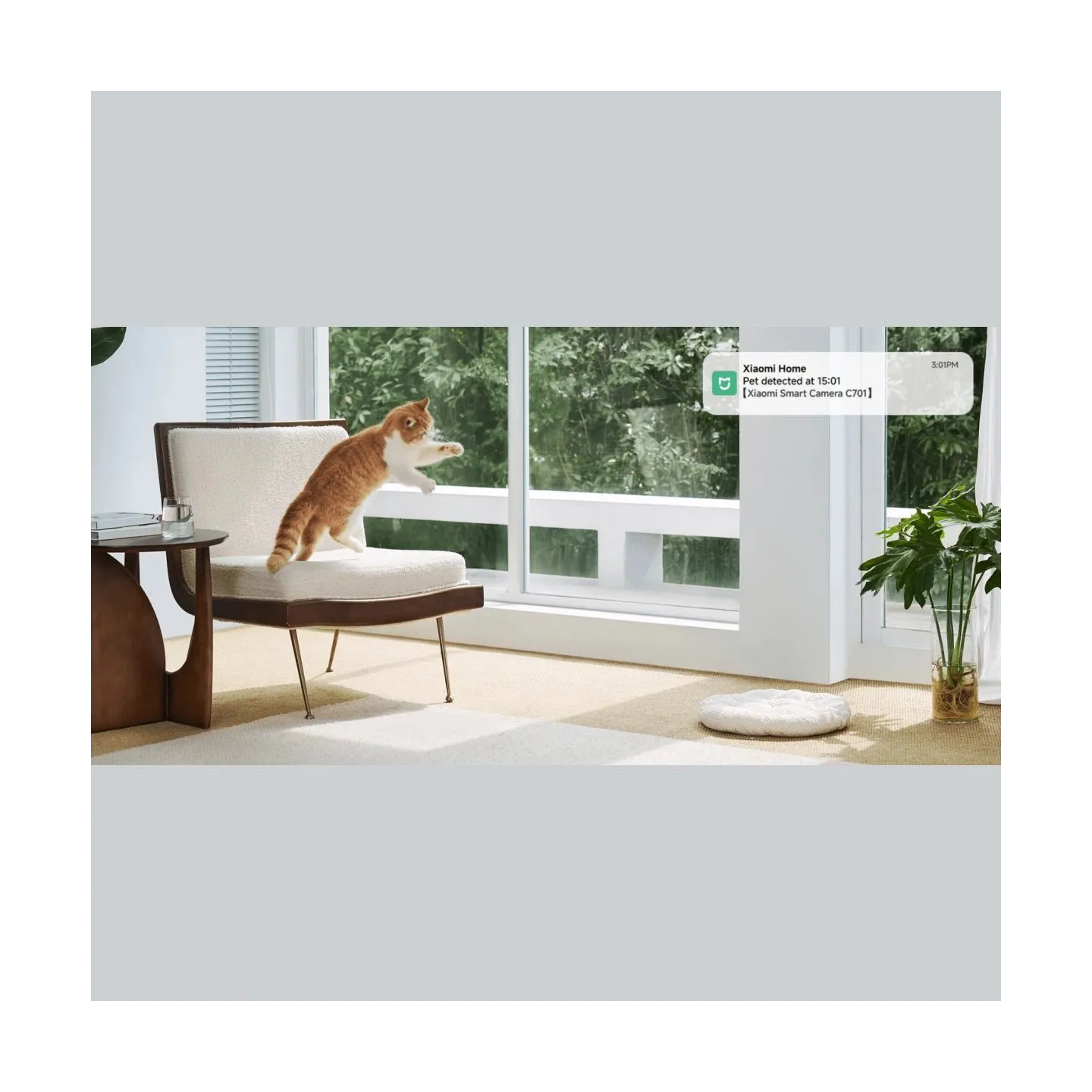 Xiaomi Smart Camera C701 EU | Dome | 8 MP | F/1.6 | H.265 | microSD card (8 GB to 256 GB)