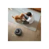 Anker Eufy | Robot Vacuum Cleaner with All-in-One Station | Omni C20 | Wet&Dry | 7000 Pa | Gray
